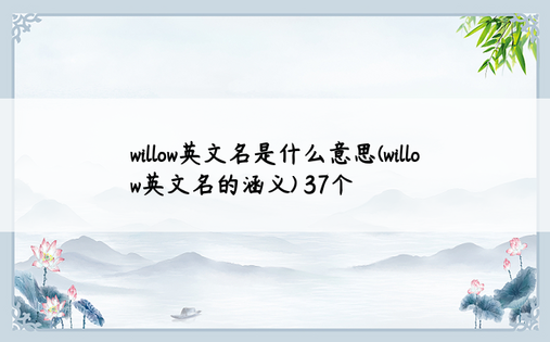 willow英文名是什么意思(willow英文名的涵义) 37个
